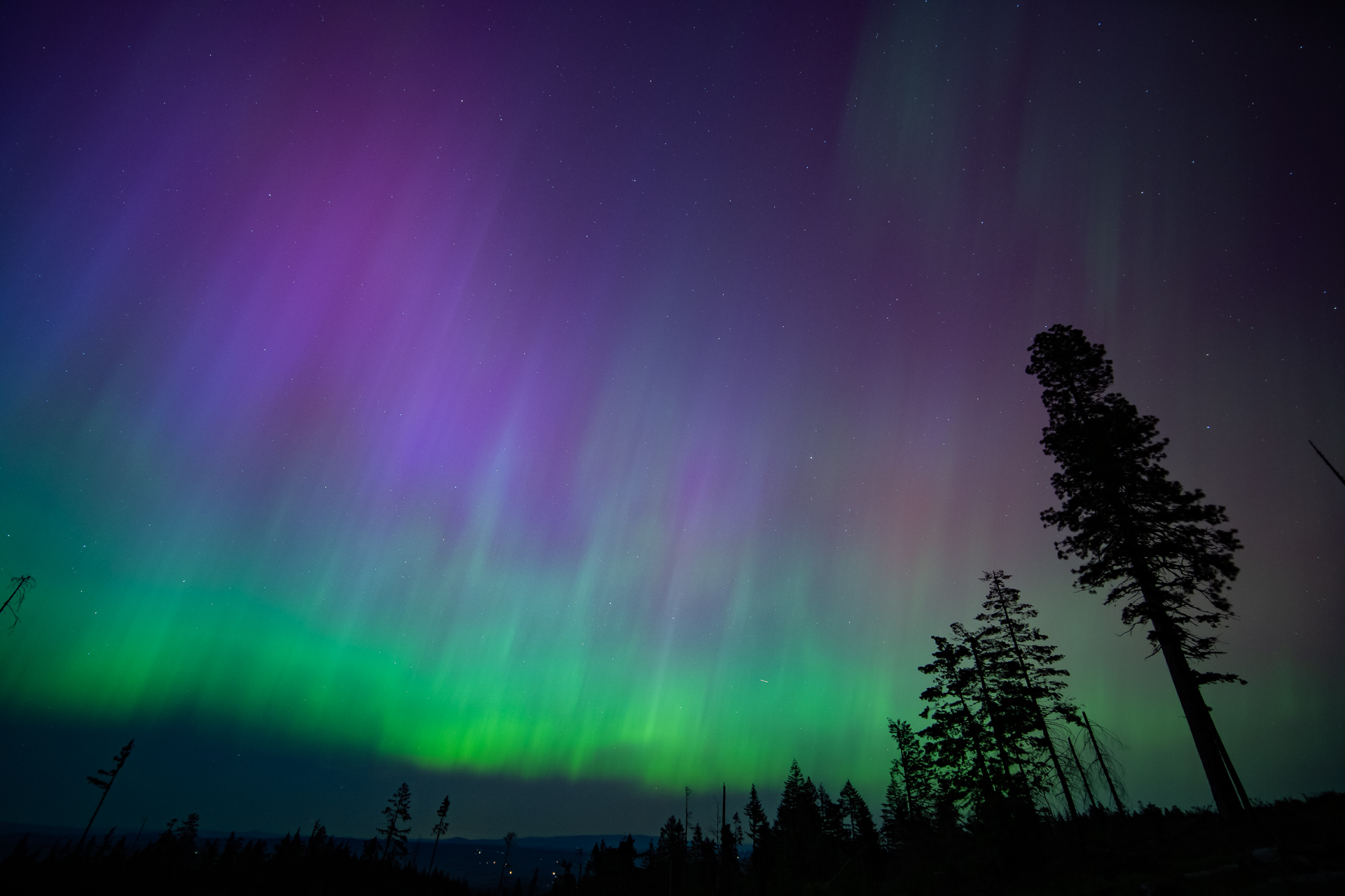 Discover Oregon Soundscapes